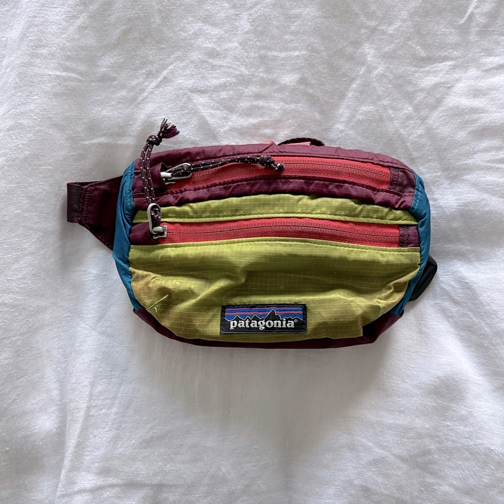 Patagonia Fanny Pack
